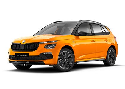 Ворсовые коврики на Skoda Kamiq (Европа) 2019&nbsp;-&nbsp;2026 в Кургане