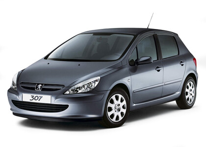 EVA коврики на Peugeot 307 2001 - 2008 в Кургане