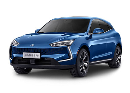 Коврики на Seres SF5 2019&nbsp;-&nbsp;2022 в Кургане