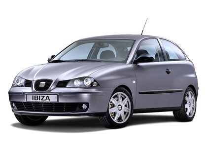 Ворсовые коврики на Seat Ibiza III 2001 - 2008 в Кургане