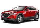 Ворсовые коврики на Mazda CX30 2019 - 2025 в Кургане