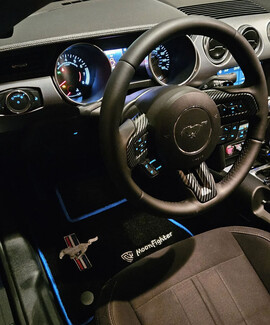 Ворсовые коврики на Ford Mustang VI 2013&nbsp;-&nbsp;2023 в Кургане