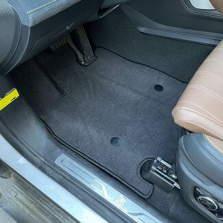 Ворсовые коврики на BYD Tang DM-i 2018&nbsp;-&nbsp;2026 в Кургане