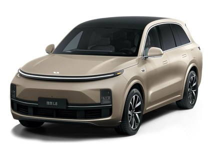 Коврики на Li L8 2022 - 2025 в Кургане